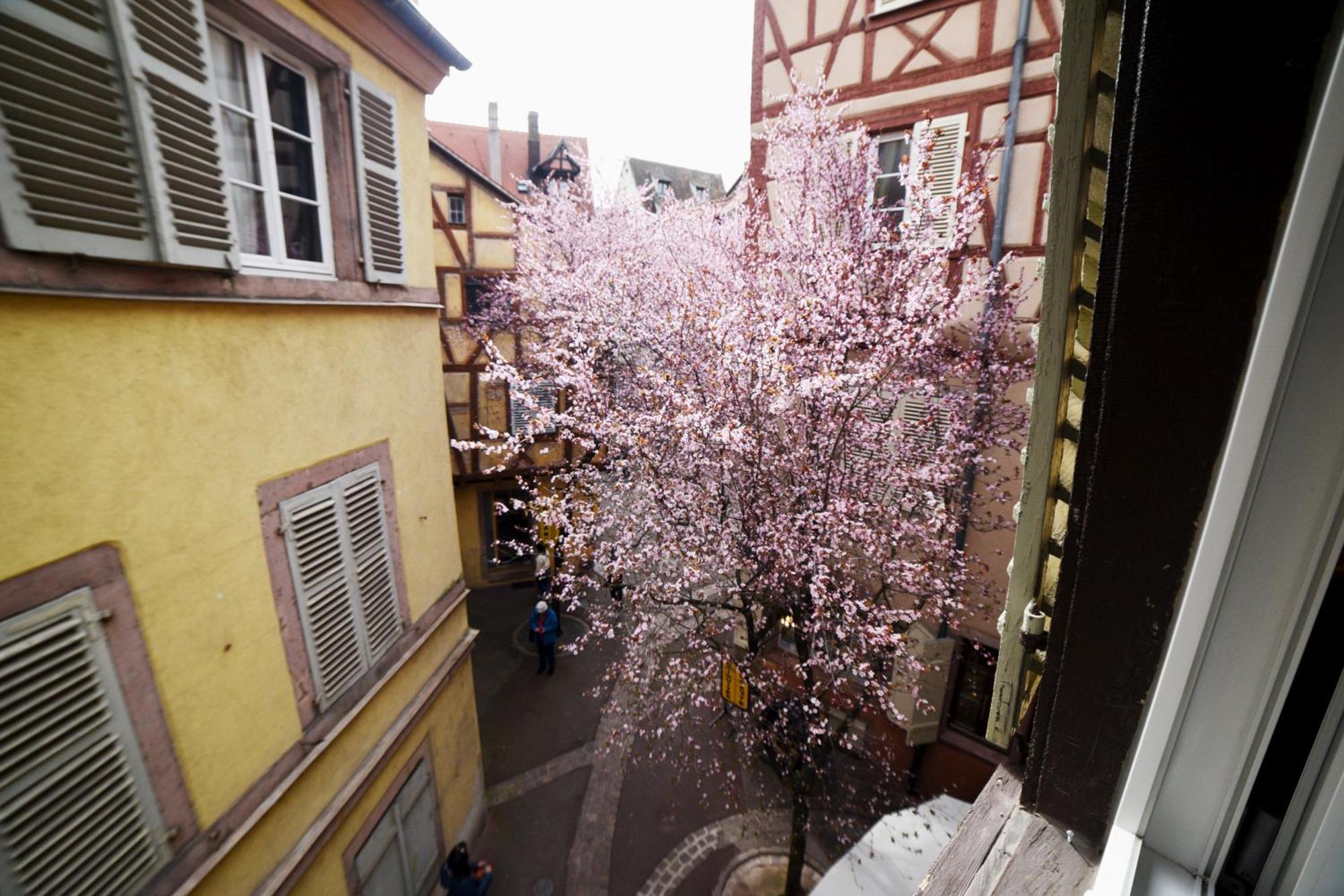 Gite Bim Maidala Colmar Kültér fotó